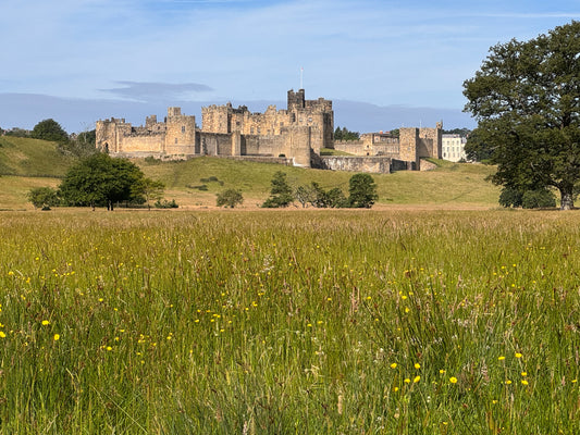 Alnwick Castle - Summer Sun