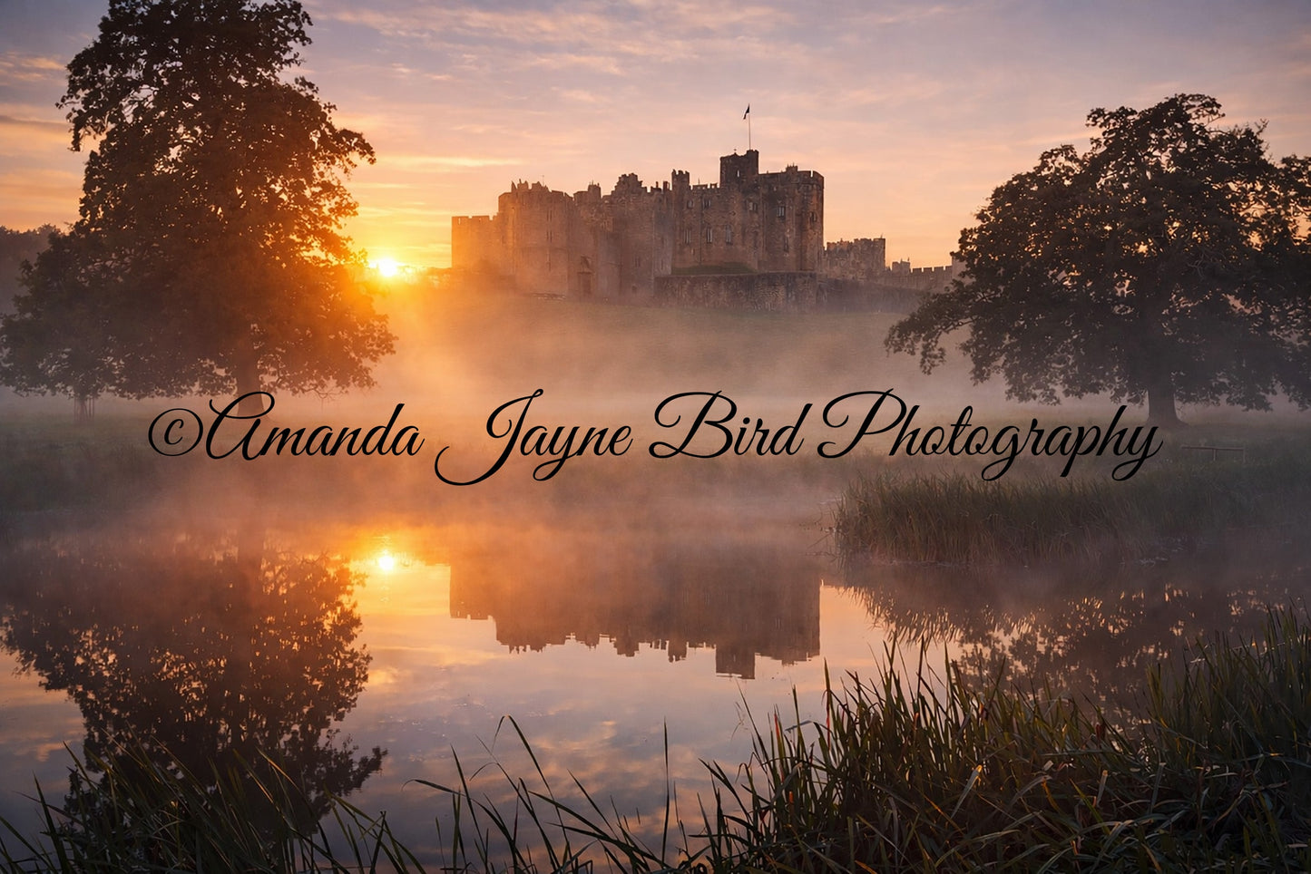 Alnwick Castle