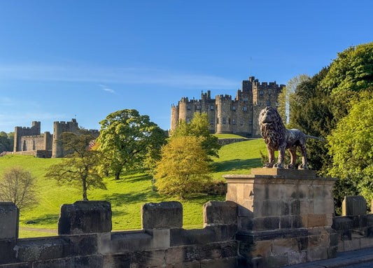 Lion Bridge & Alnwick Castle, Alnwick