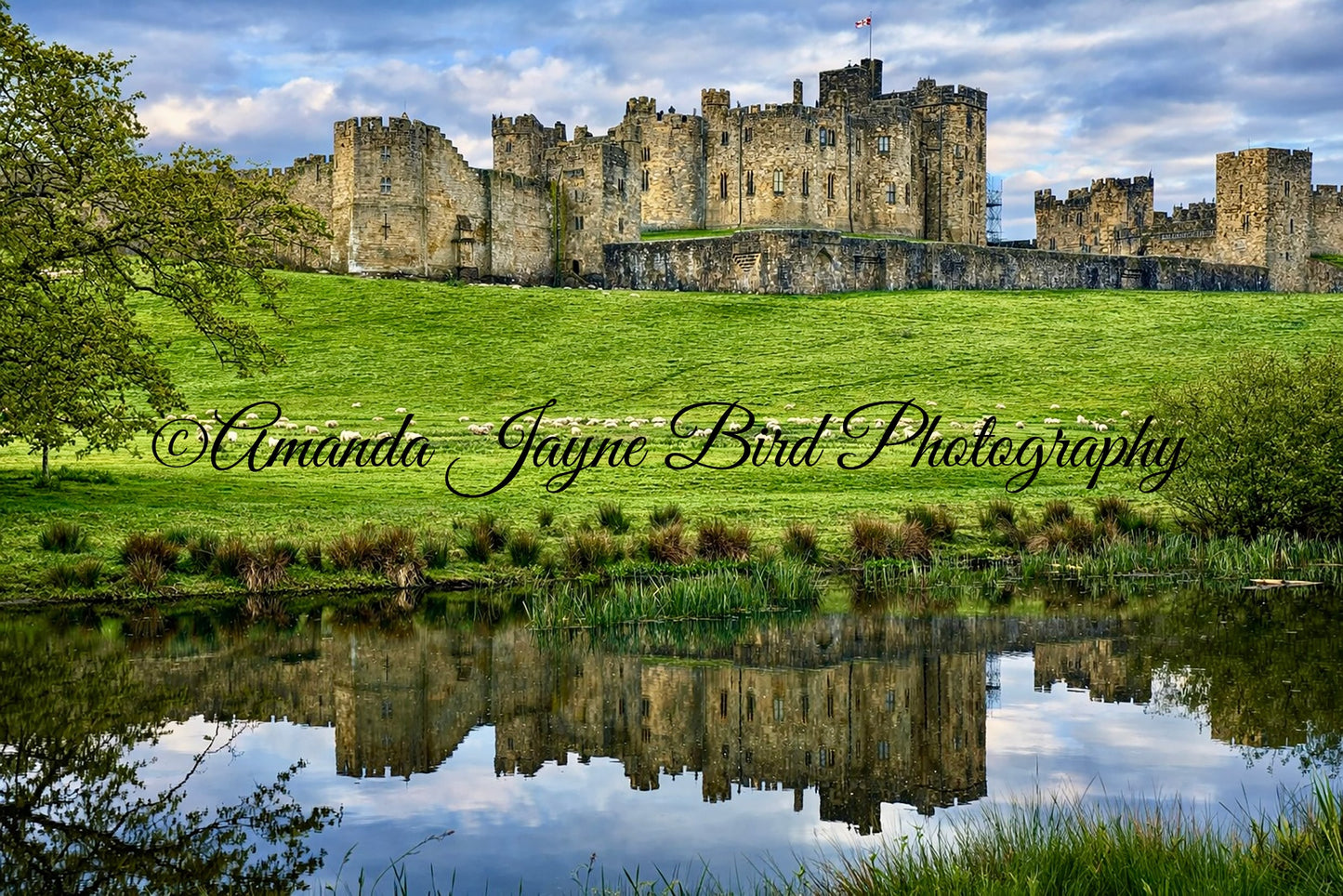 Alnwick Castle
