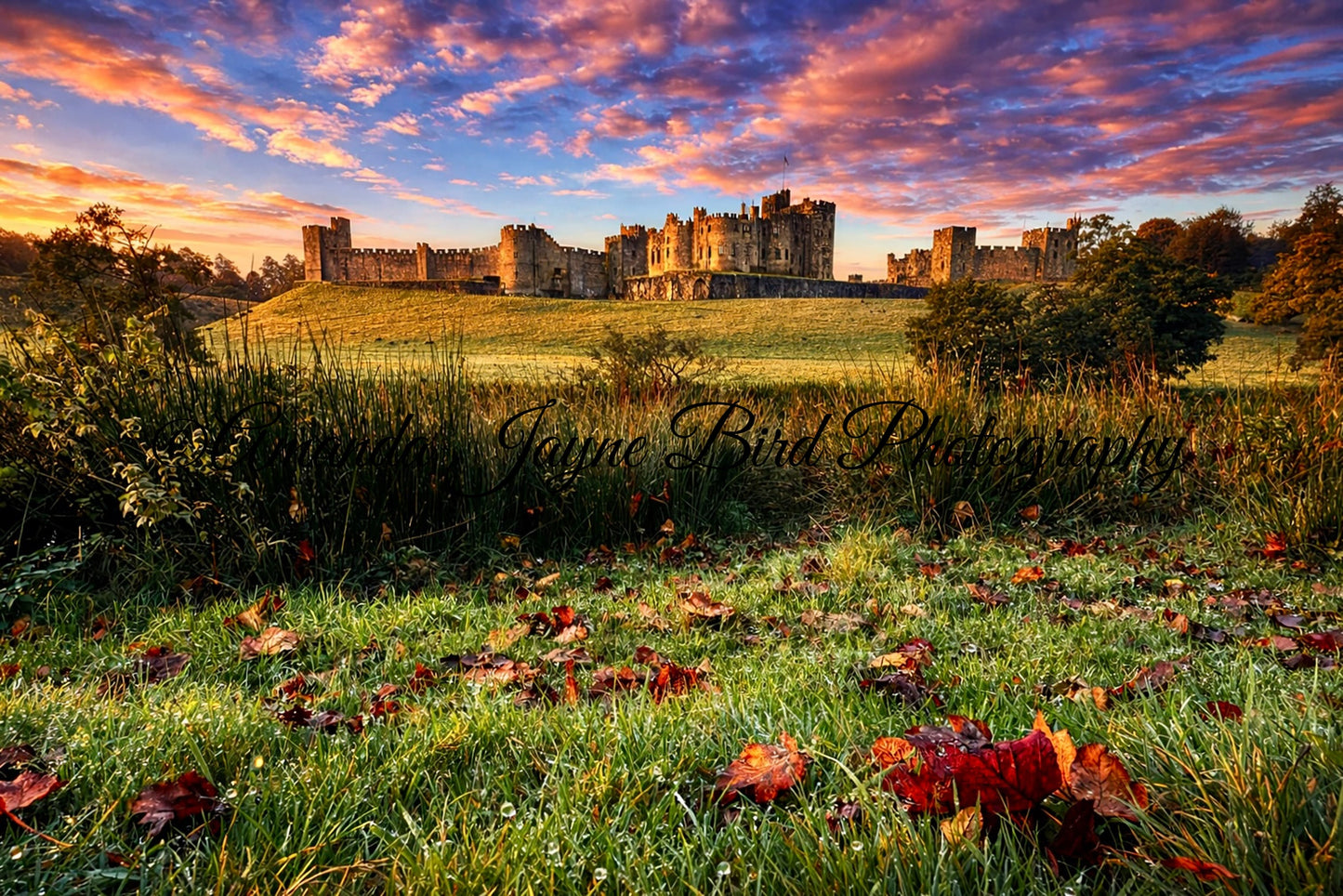 Alnwick Castle, Sky Ablaze