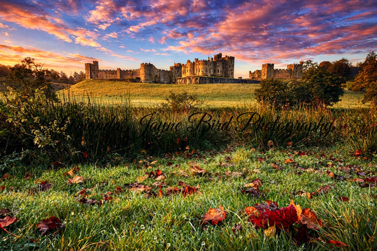 Alnwick Castle, Sky Ablaze