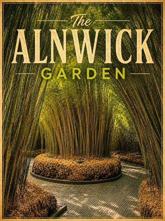 A4 Digital Poster - The Alnwick Garden Bamboo Maze