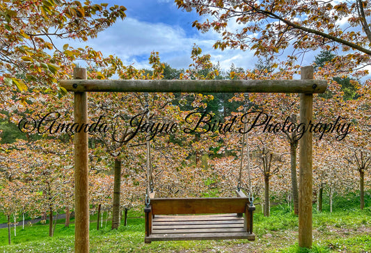 Alnwick Garden - Swings