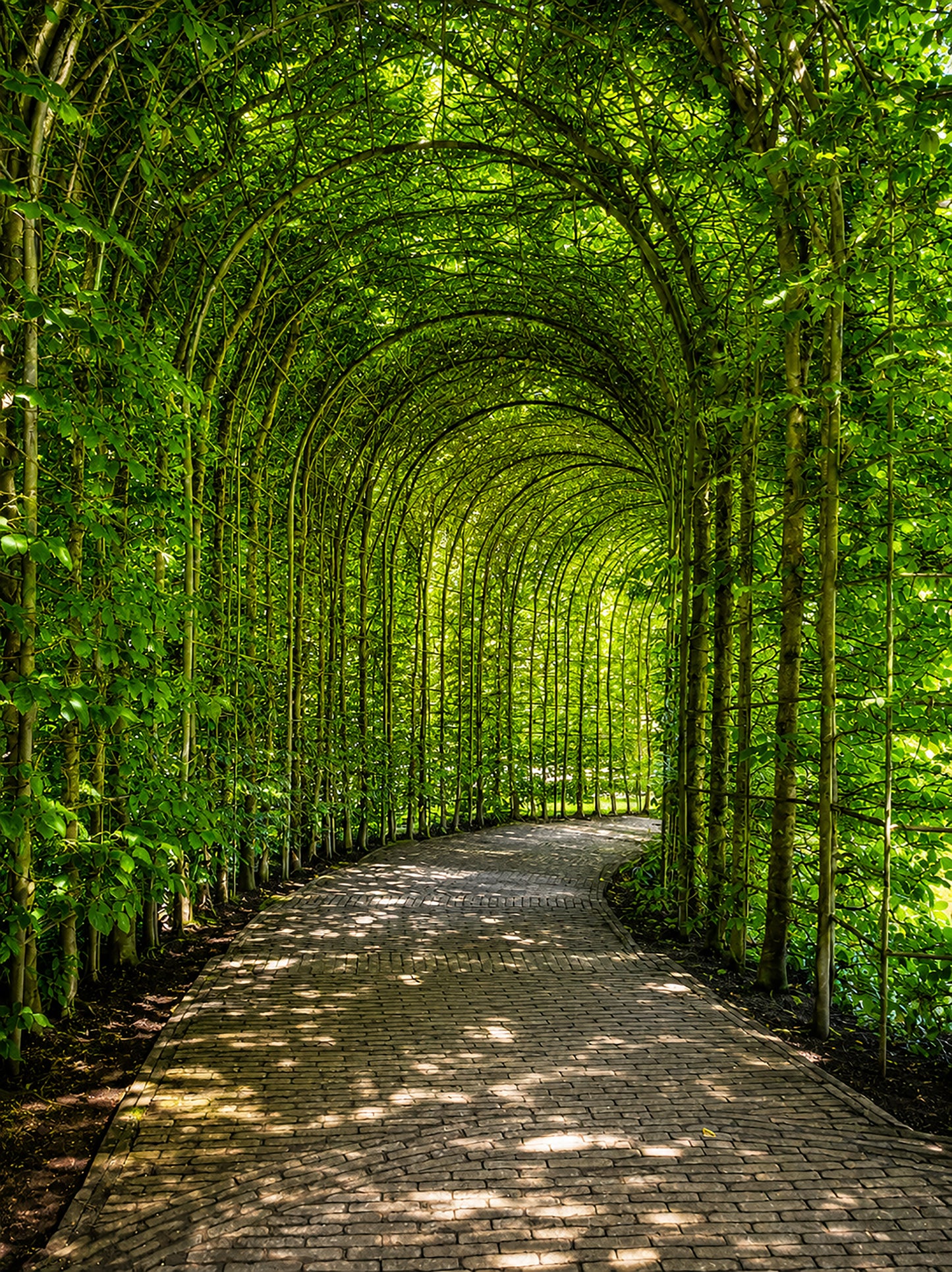 Alnwick Garden