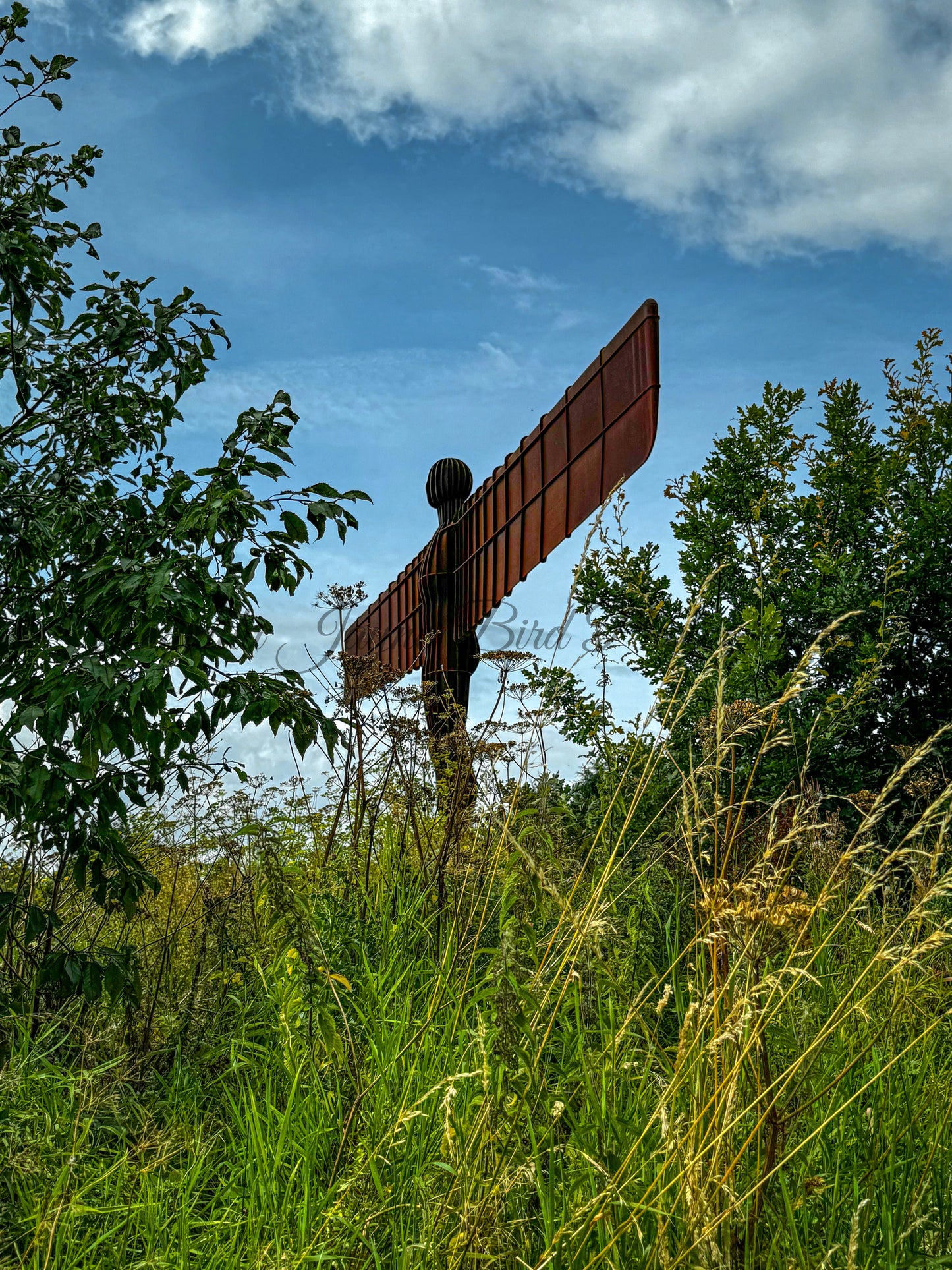 Angel of the North