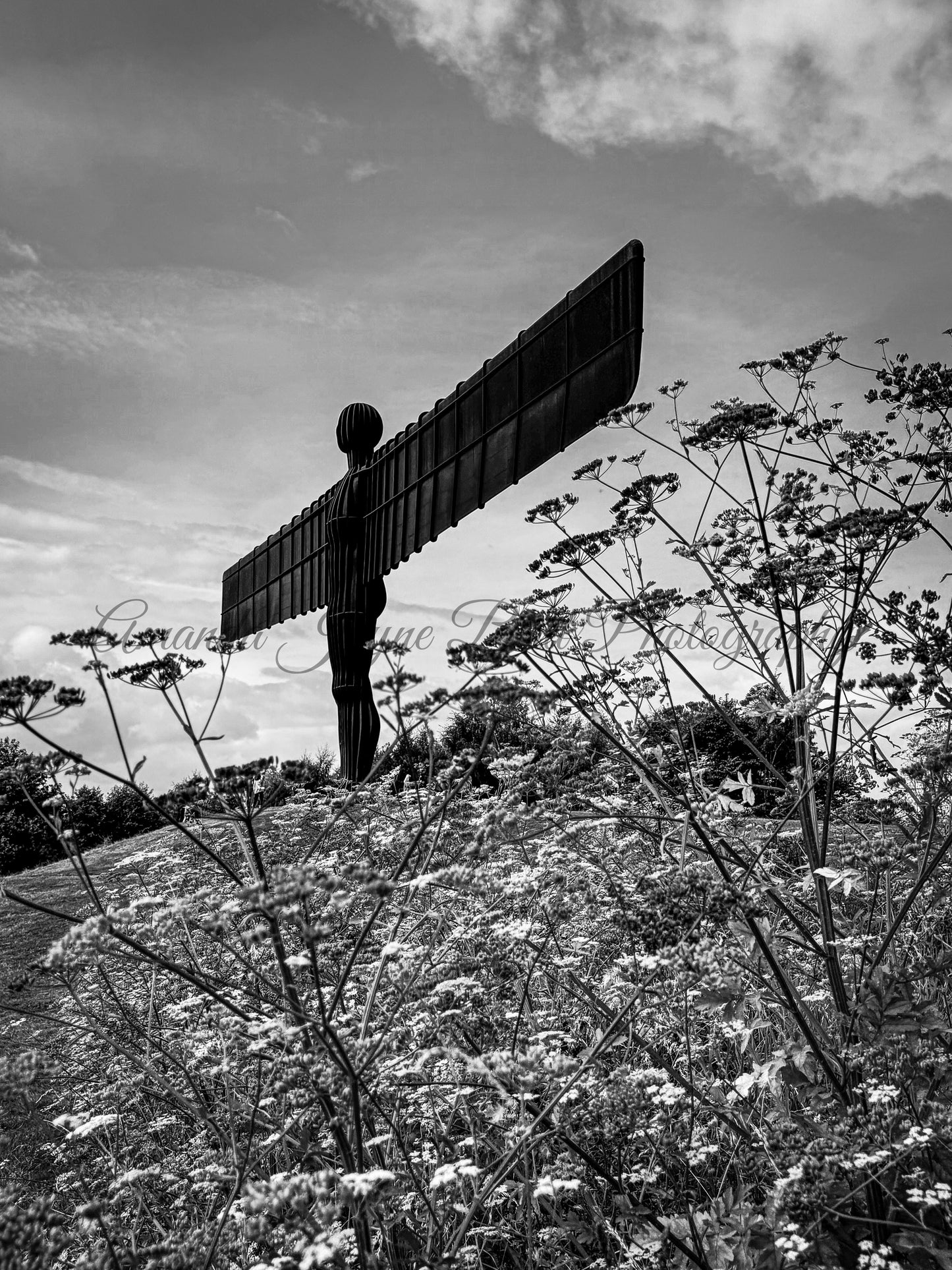 Angel of the North (B&W)