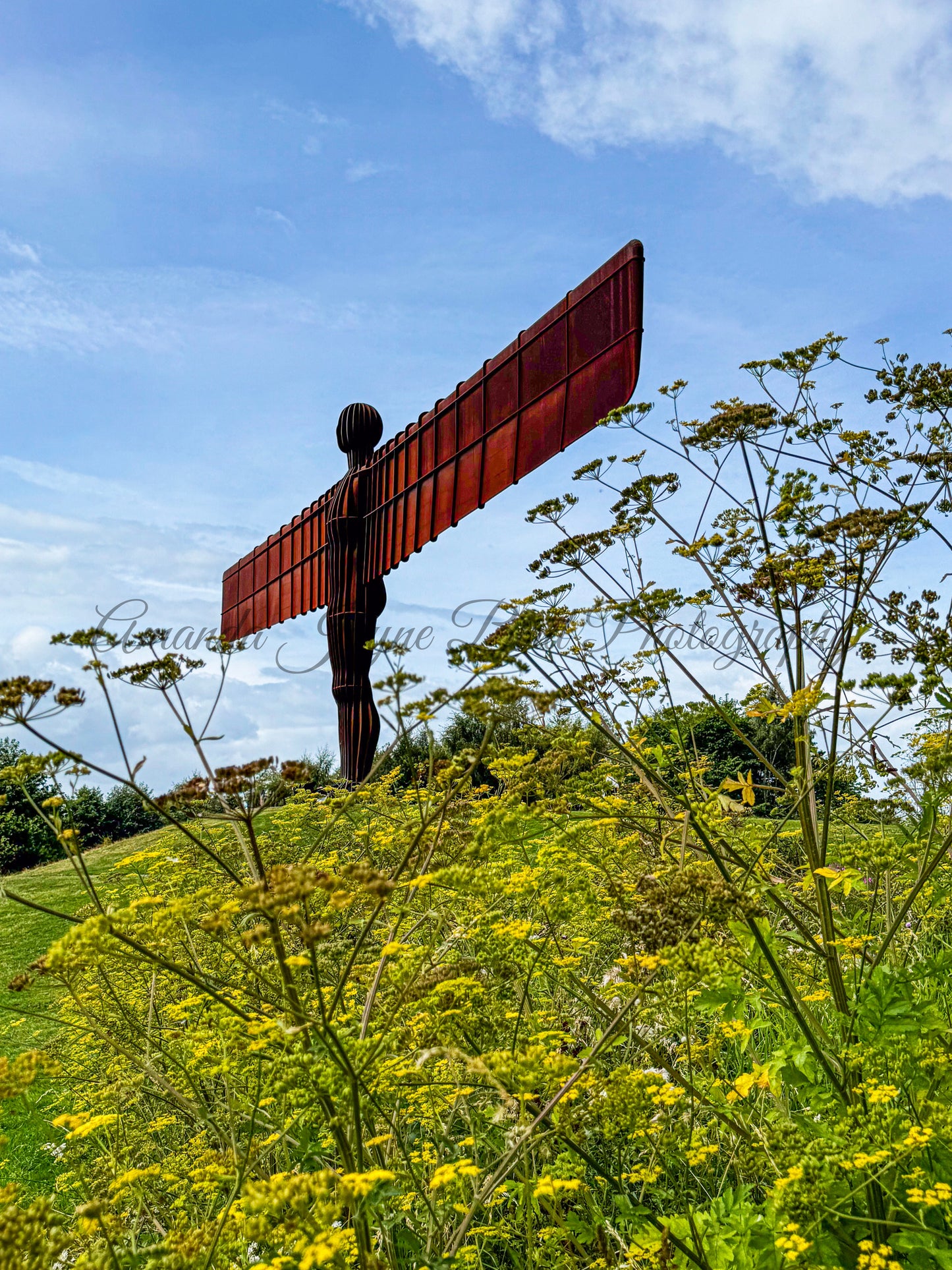 Angel of the North