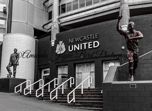 St James’ Park  (B&W)