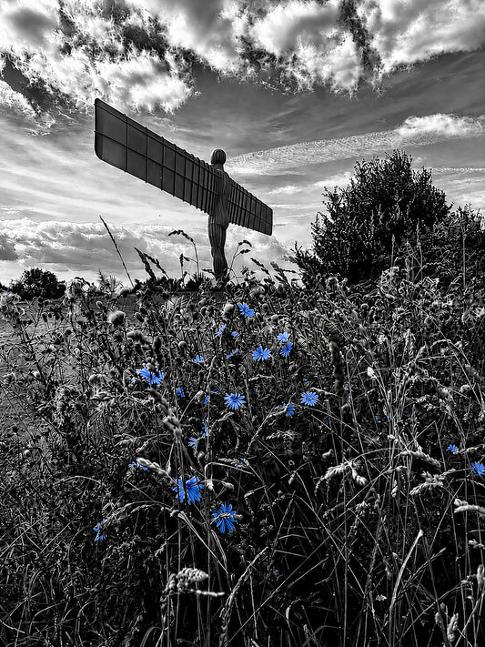 Angel of the North (B&W)