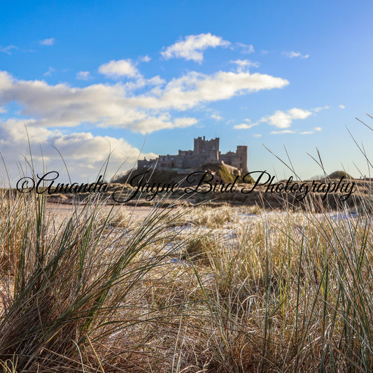 Bamburgh Castle - Veiw from the dunes
