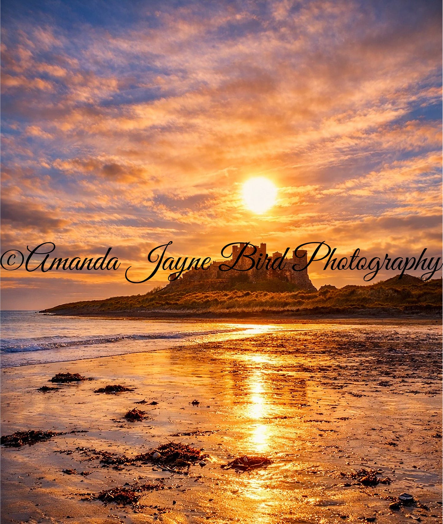 Bamburgh Castle