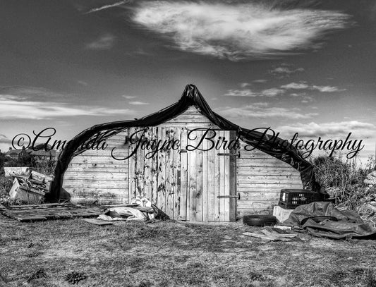 Boat Shed - Holy Island