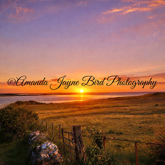 Budle Bay, Northumberland
