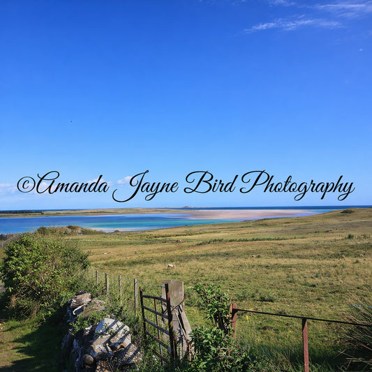 Budle Bay, Northumberland