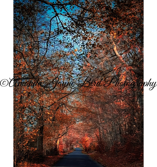 Callaly, Alnwick
