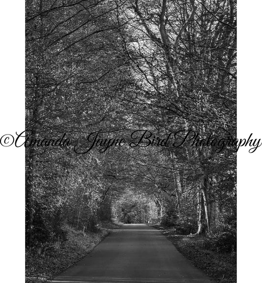 Callaly, Alnwick (B&W)