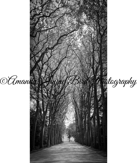 Chateau Chenonceau, Loire Valley, France (B&W)