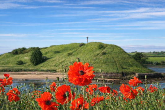 Alnmouth Church Hill View though the Poppies (2)