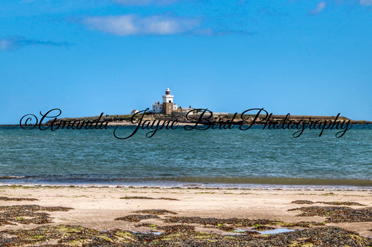 Coquet Island