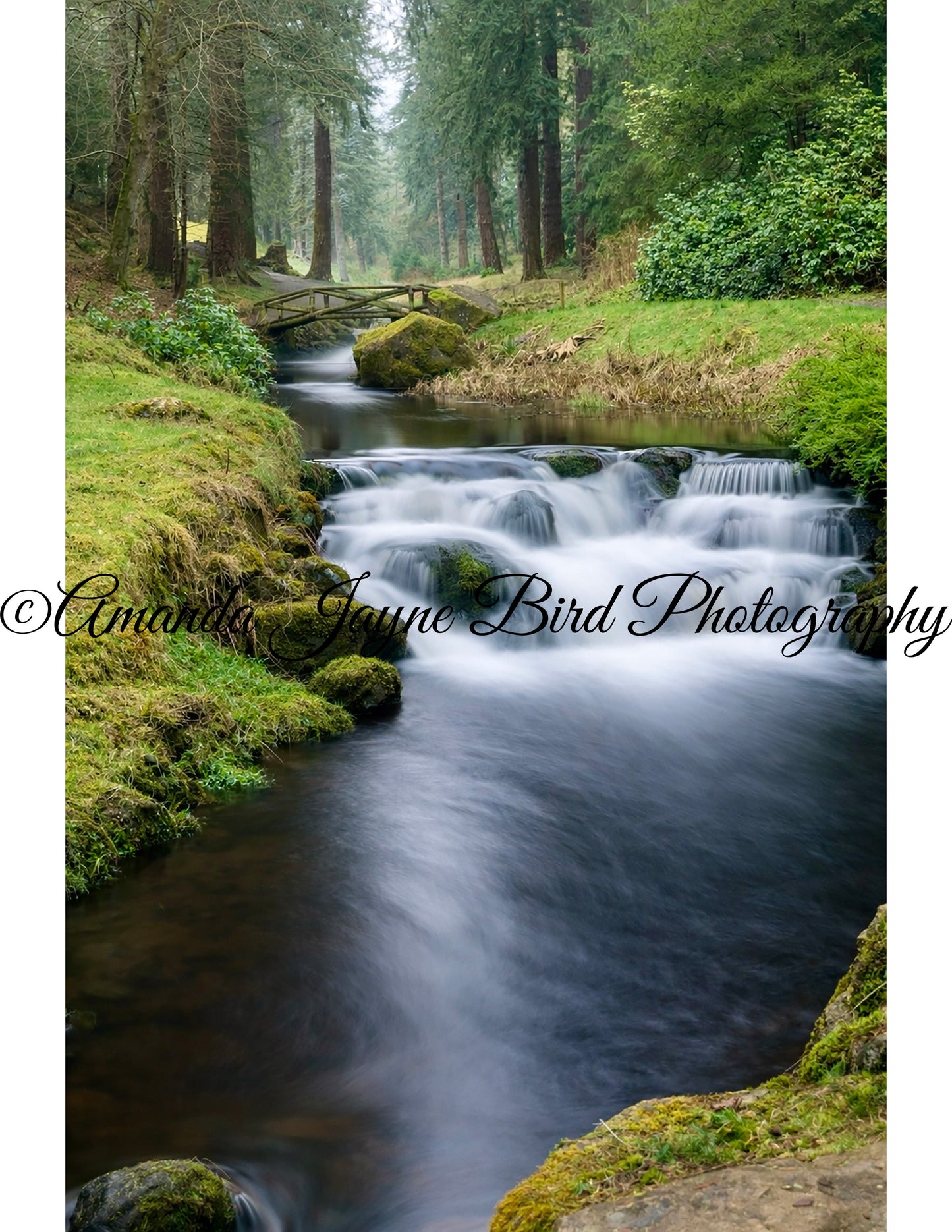 Cragside Gardens Waterfall