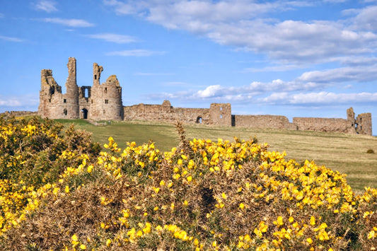 Dunstanburgh Castle, a different perspective!