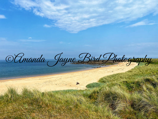 Sugar Sands Beach