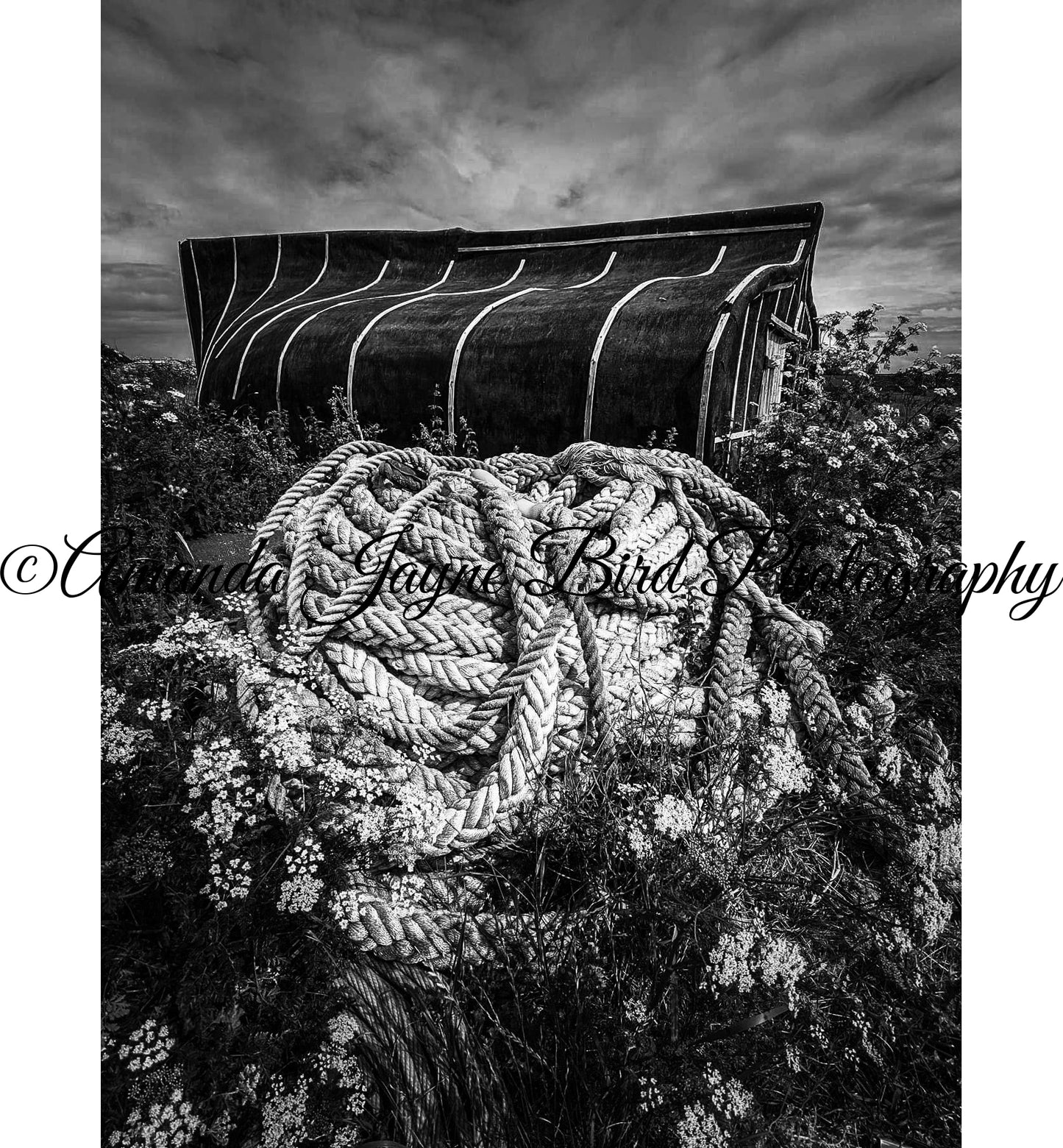 Boat Shed - Holy Island (B&W)