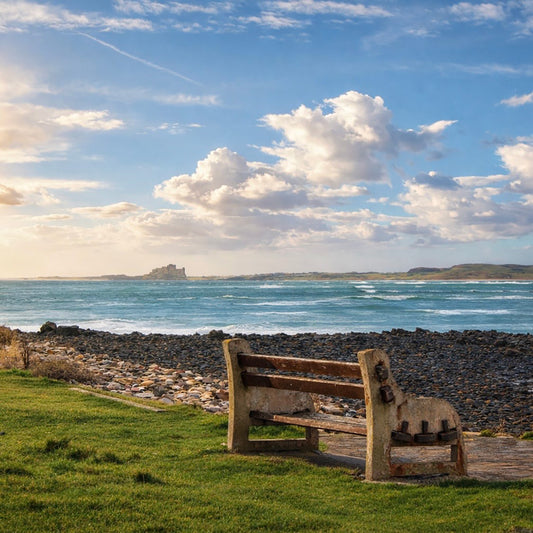 Looking out towards Bamburgh Castle from Holy Island