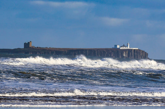 Coquet Island