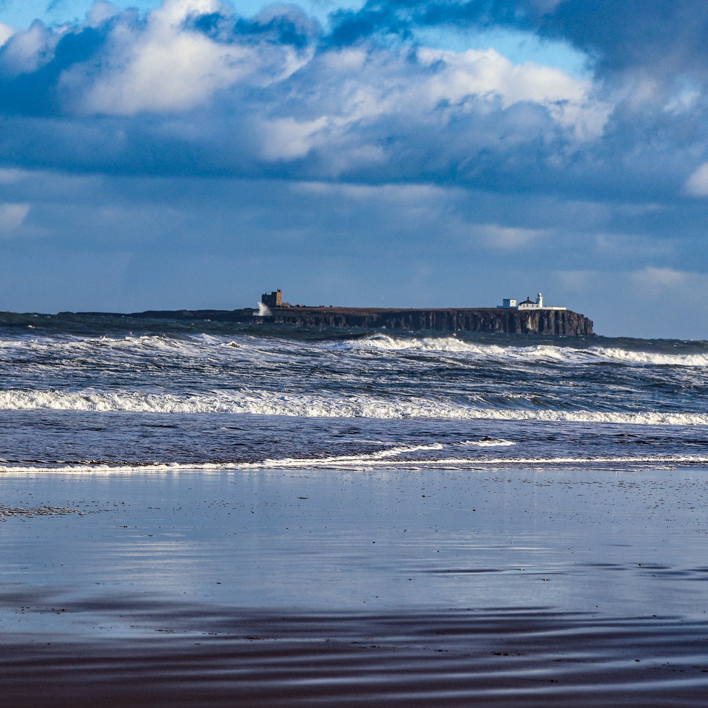 Coquet Island