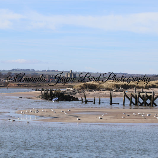 Warkworth Castle from Amble Pier