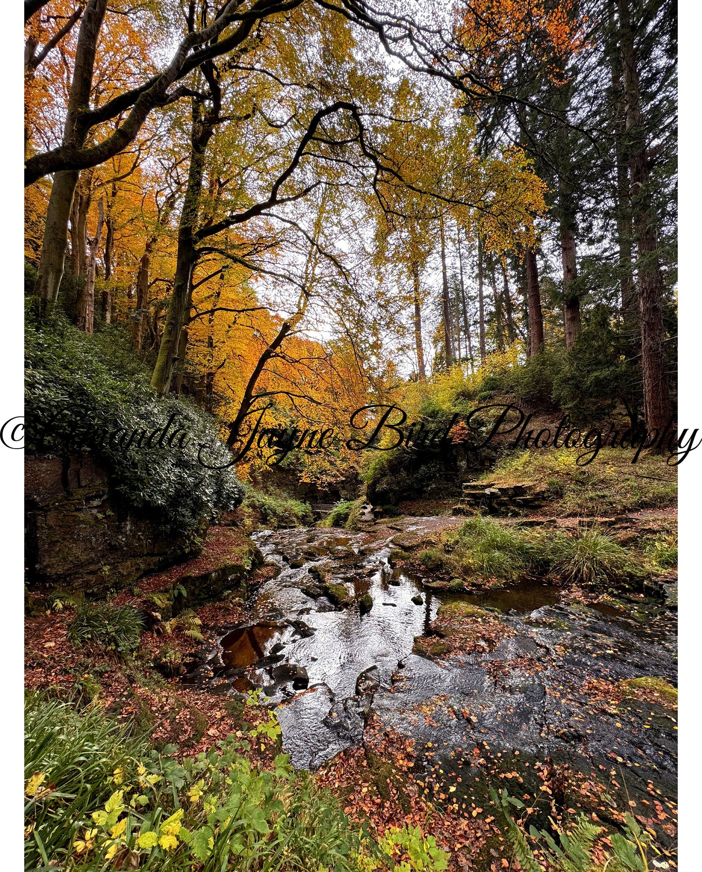 Cragside Gardens, Rothbury