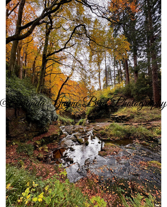 Cragside Gardens, Rothbury