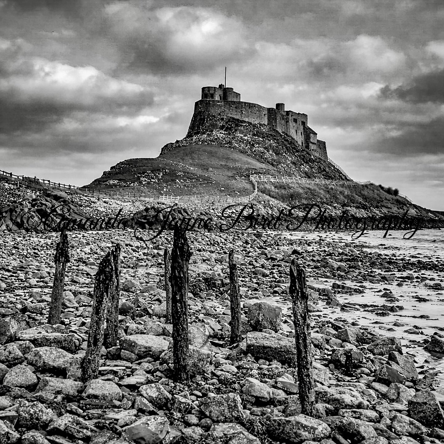 Lindisfarne Castle, Holy Island (B&W)