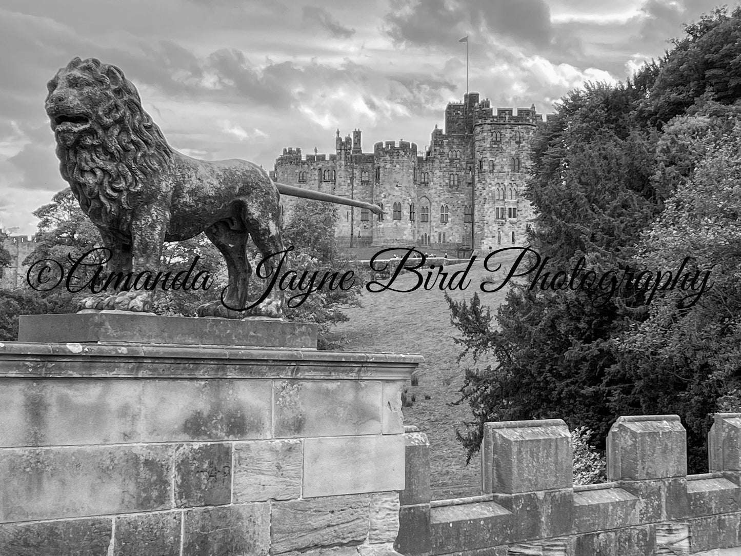Lion Bridge & Alnwick Castle (B&W)