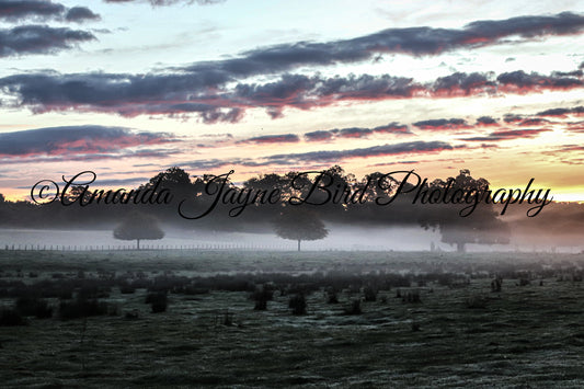 The Pastures, Alnwick