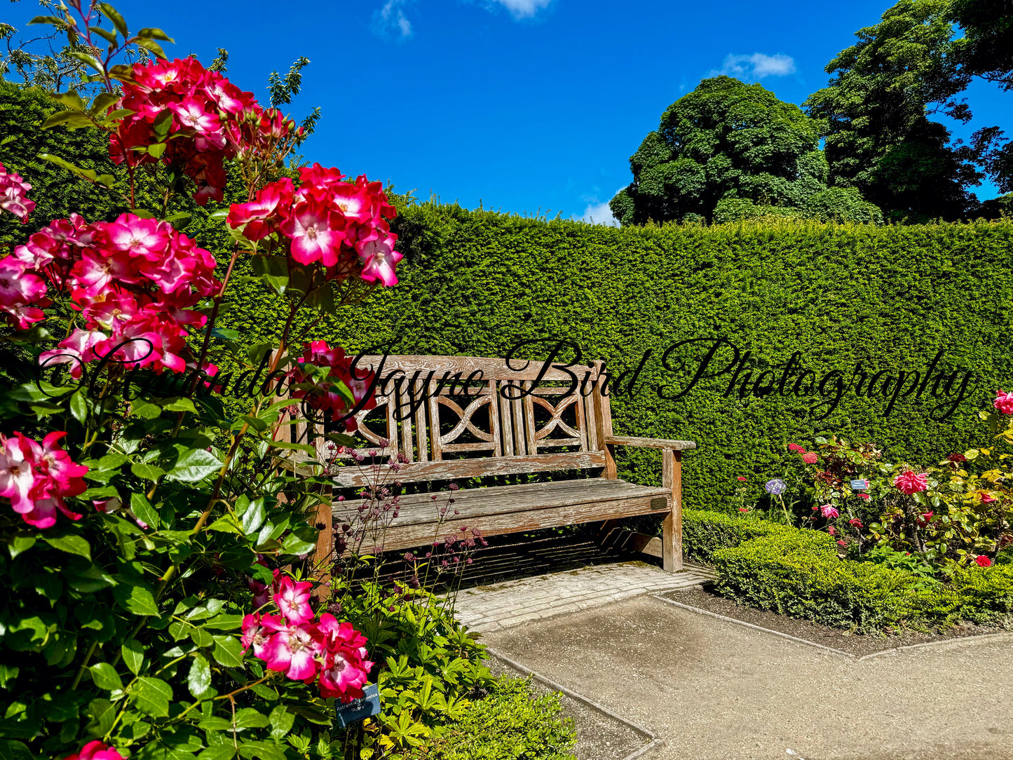 Alnwick Garden, Take A Seat