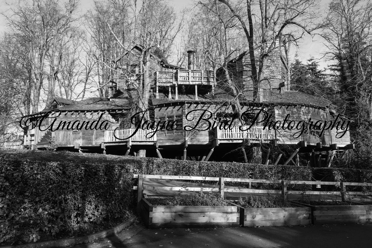 The Treehouse Restaurant, Alnwick Garden (B&W)
