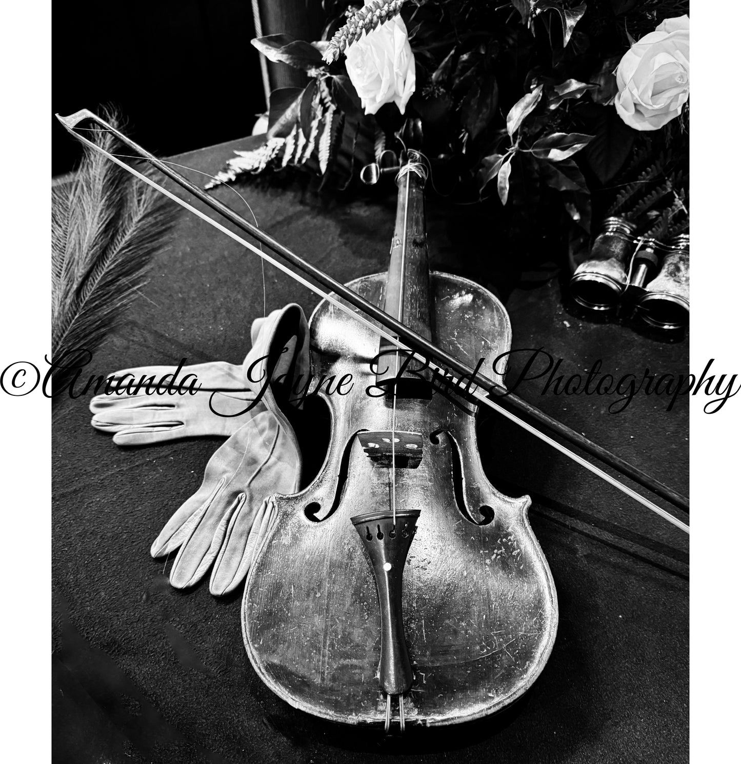 Violin (B&W) (Copy)