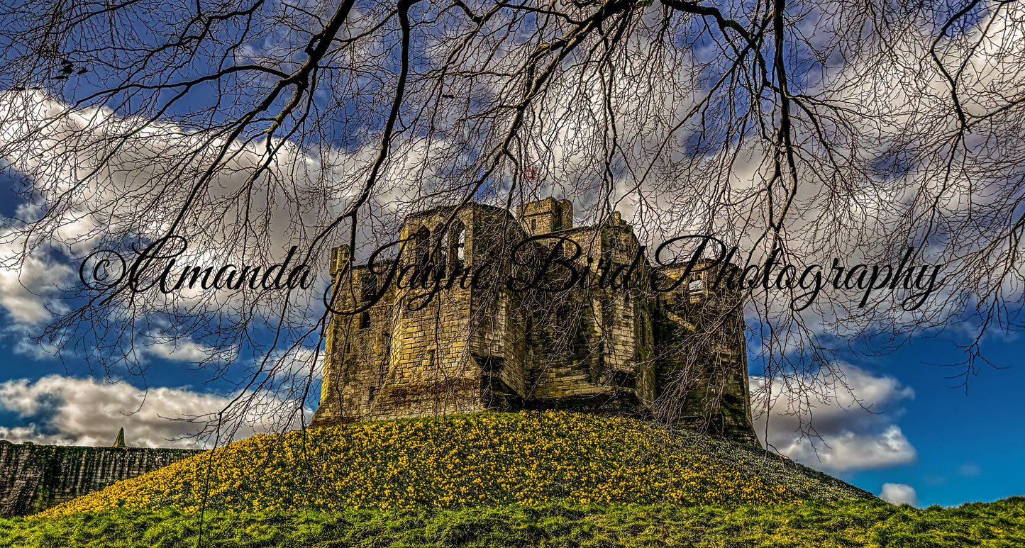 Warkworth Castle
