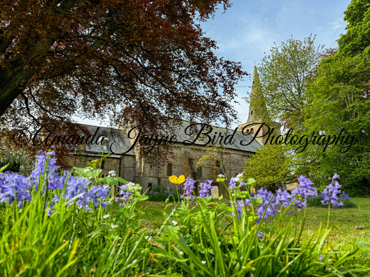 Warkworth Church