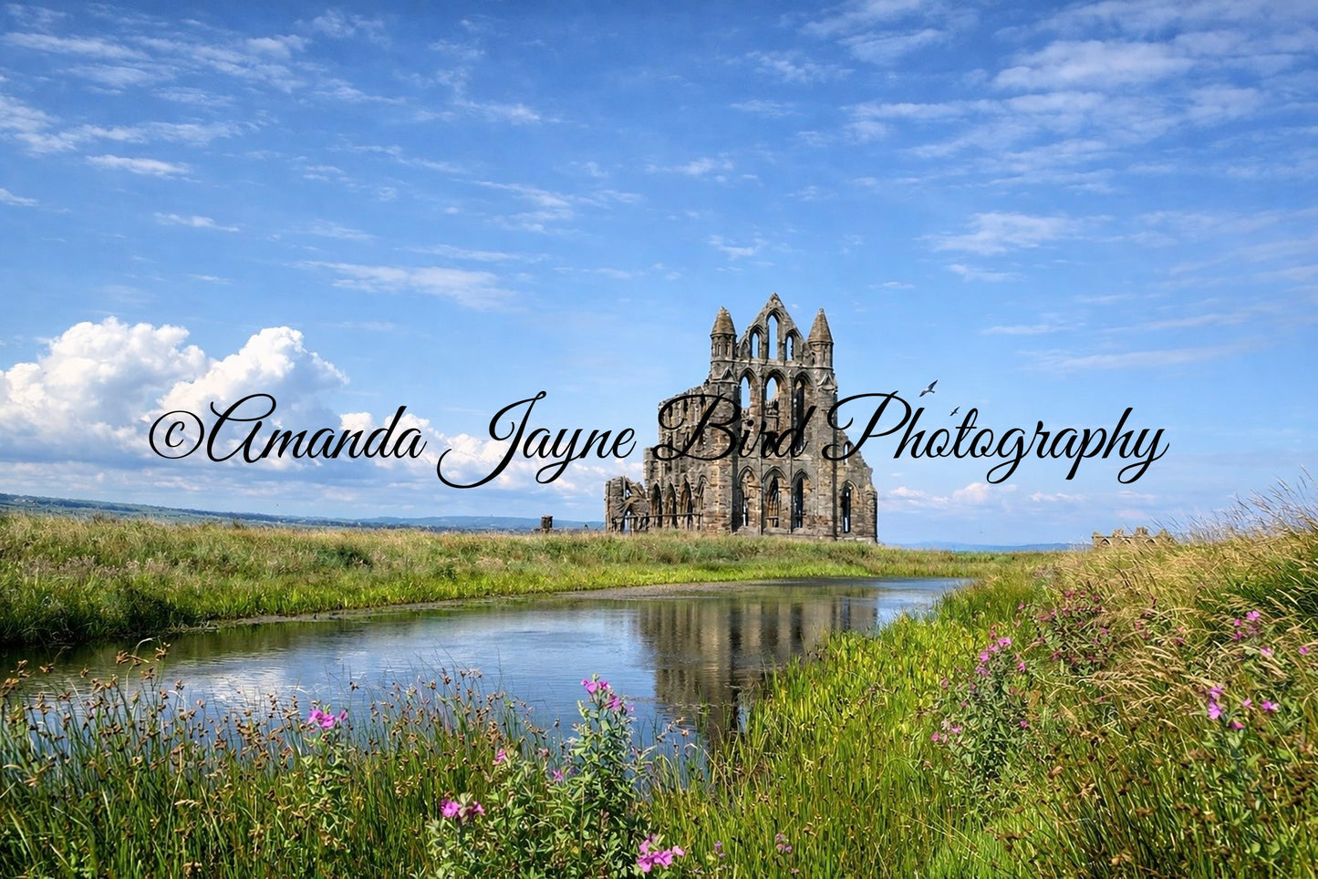 Whitby Abbey, Yorkshire
